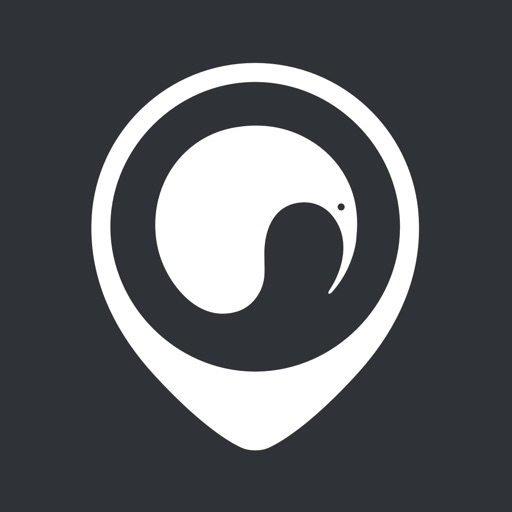 Kiwi Hub - Public Transport