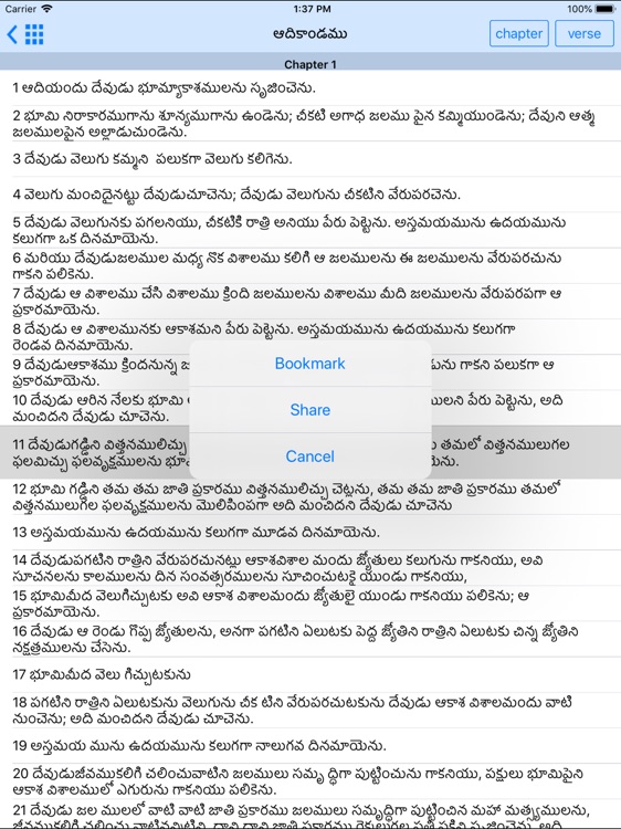 Telugu Bible Offline for iPad screenshot-3