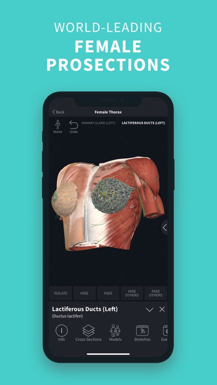 Complete Anatomy ‘22 screenshot-5