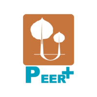 Peer