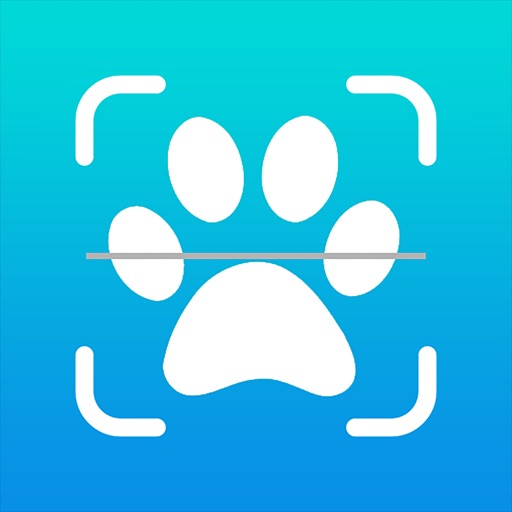 Animal Tracks Discovery Download