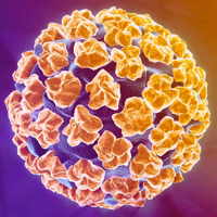 HPV HELP