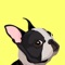 The #1 puppy & dog training app, created by top canine experts