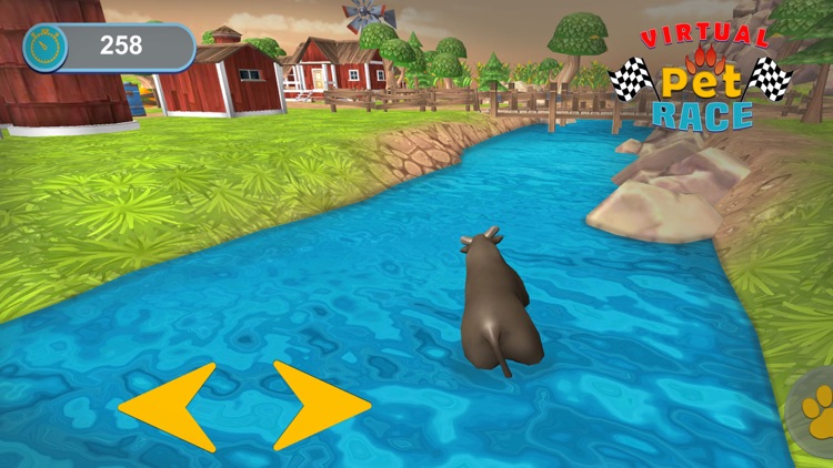 Virtual Pet World Racing Town screenshot-5