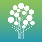 Trade Tree Online Mobile App