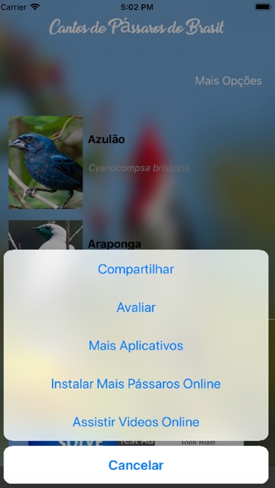 Cantos de Pássaros Brasileiros screenshot 3
