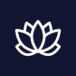 Focus Meditation  Relaxation