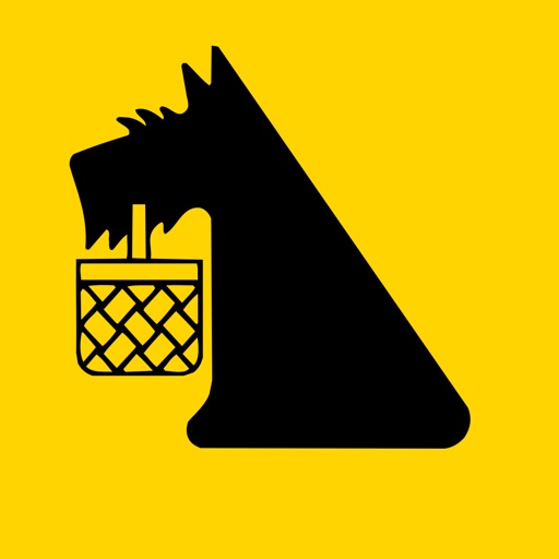 Netto