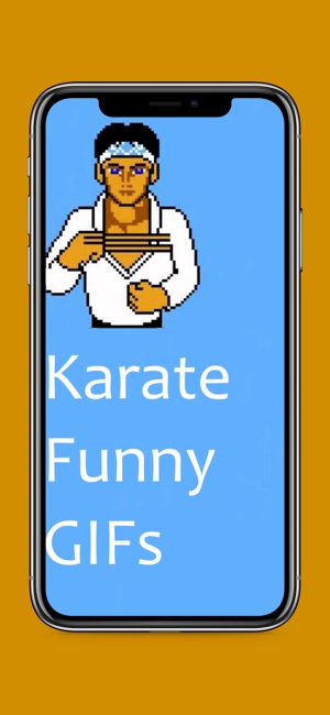 Karate Funny Gifs