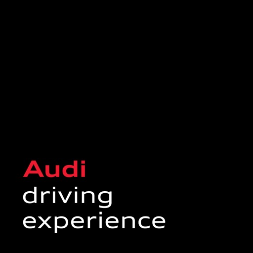 Audi driving experience