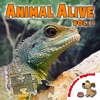 Animal Alive Vol 1