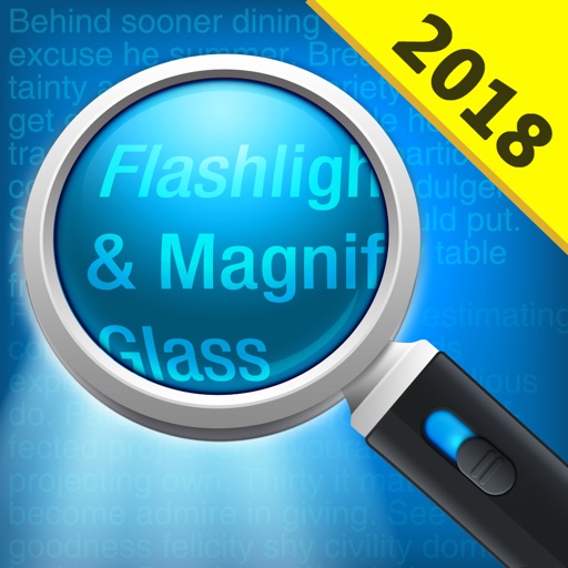 Magnifying Glass + Flashlight
