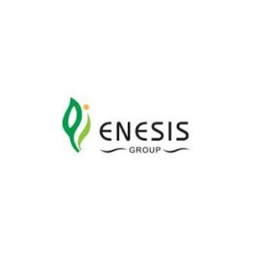 E-Employee Enesis Group