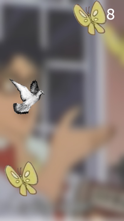 Is This A Pigeon?