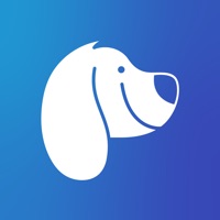 Social Puppy app funktioniert nicht? Probleme und Störung
