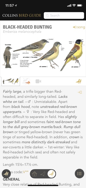 Collins Bird Guide(圖2)-速報App