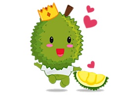 Durian The King Of Fruits
