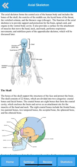 Skeletal System Anatomy(圖3)-速報App