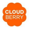 Get 클라우드베리 for iOS, iPhone, iPad Aso Report