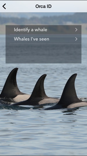 Center for Whale Research(圖4)-速報App