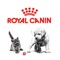 Parce que la croissance de votre chiot est une étape importante pour son futur, l’application "Royal Canin & Moi" vous accompagne au quotidien tout au long de cette période