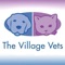 This app is designed to provide extended care for the patients and clients of The Village Vets in Stone Mountain, Georgia