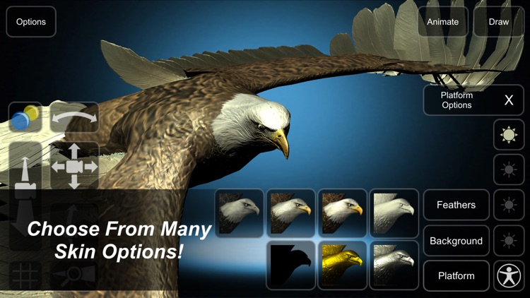 Eagle Mannequin screenshot-4