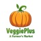 Online store for farm fresh vegetables and fruits in Chennai