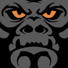 Gorilla Fleet Intelligence