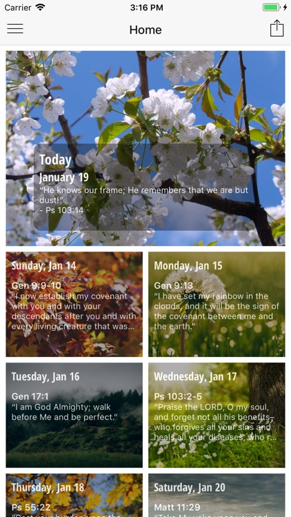 God's Daily Comfort