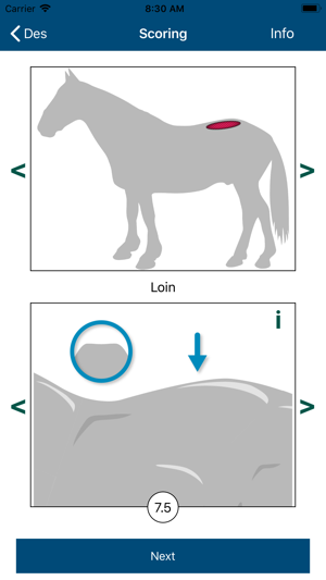 Equine Body Condition Scoring(圖3)-速報App