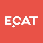 eCAT (Audit Tool)