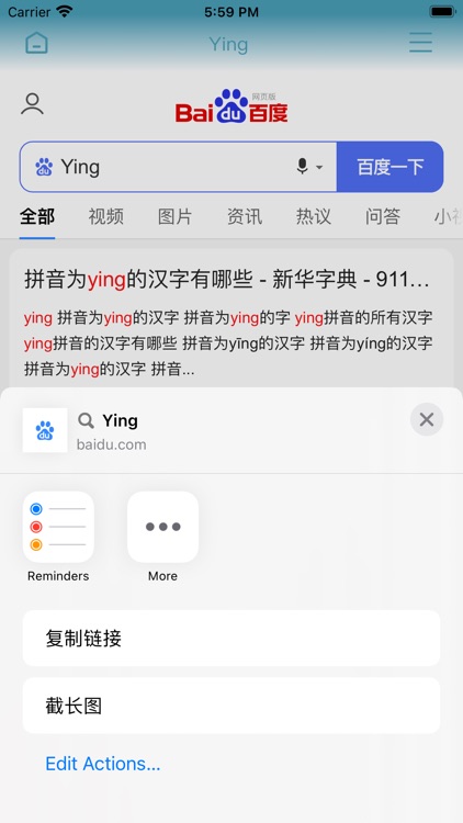 Y浏览器-专业版