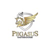 Pegasus Rastreadores
