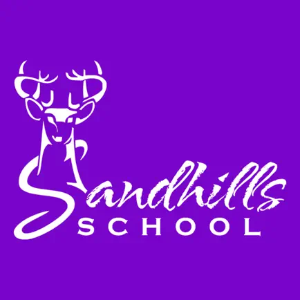 Sandhills School Читы