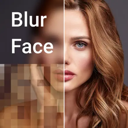 Photo Mosaic blur Cheats