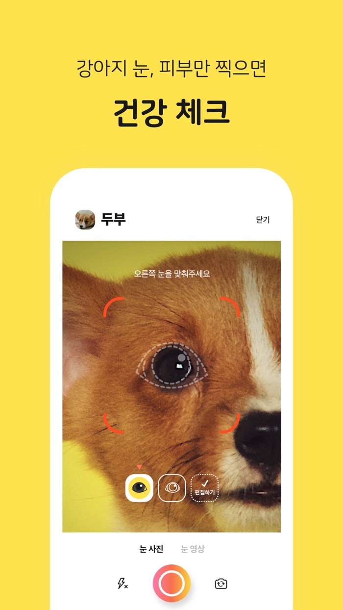 티티케어 – 반려동물 AI 건강관리