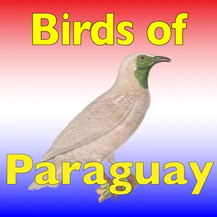The Birds of Paraguay Читы