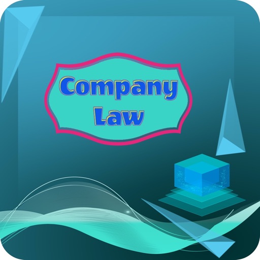 Company Law Q n A