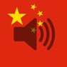 Get Chinese Phrasebook (Travel) for iOS, iPhone, iPad Aso Report
