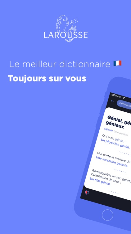 Dictionnaire Larousse français