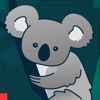 KoalaAR Remote Assistance