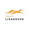 Smart Lisakovsk