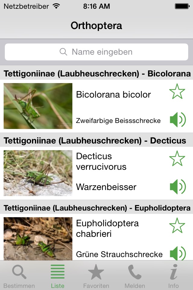 Orthoptera screenshot 3