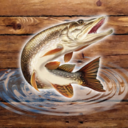 Fish Rain: Sport Fishing Games