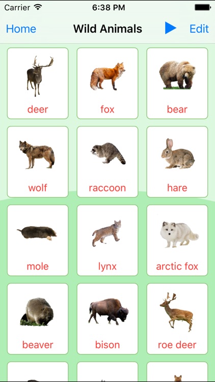 Animals Learning Cards