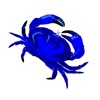 The Blue Crab