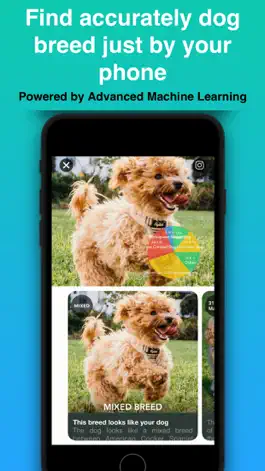 Game screenshot Dog Identifier - Puppy Scanner mod apk