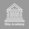 Slim Academy (backup server)