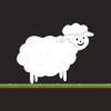 Rattlin' Sheep